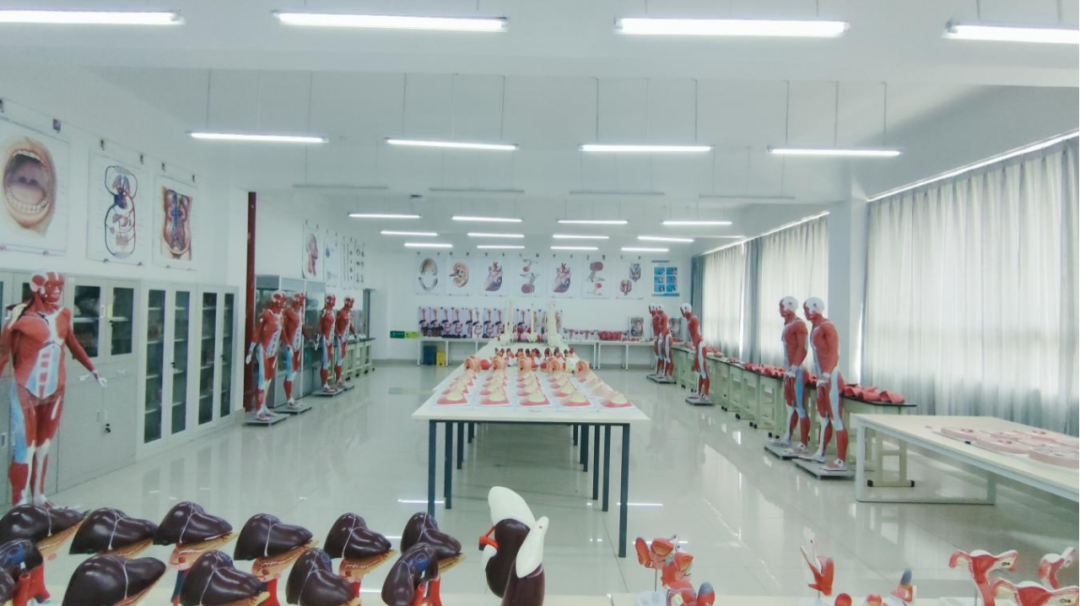 金年金字招牌诚信至上特色专业 | 医学影像技术