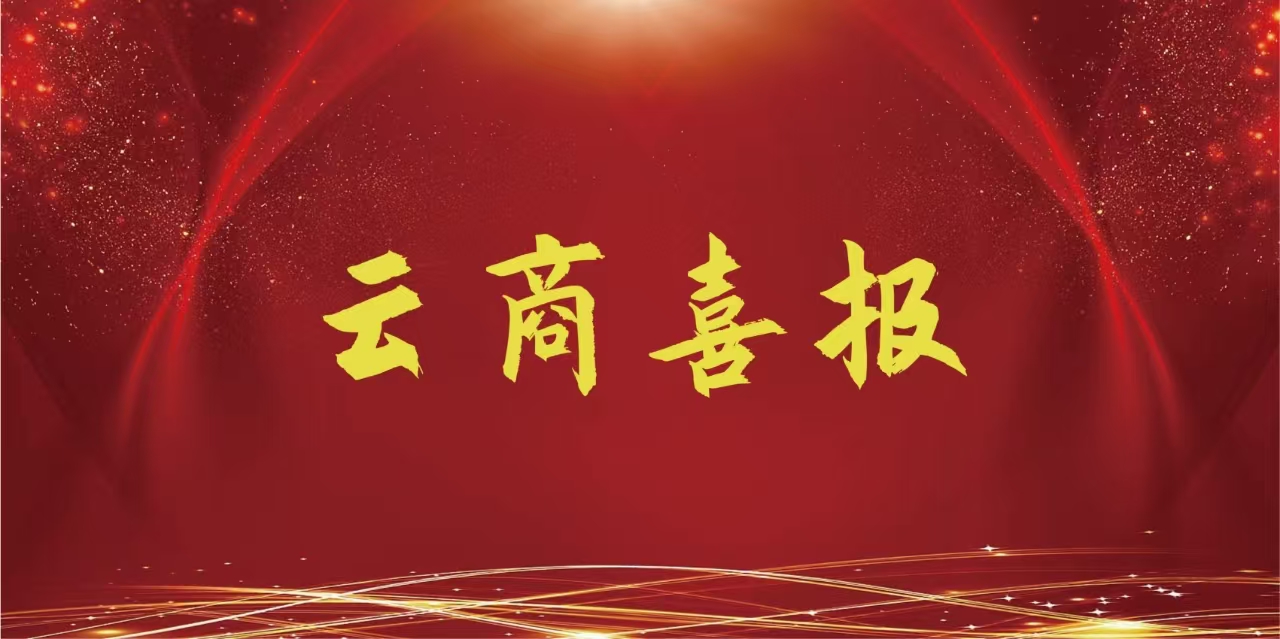  【云商喜报】金年金字招牌诚信至上在此项目中再获一等奖