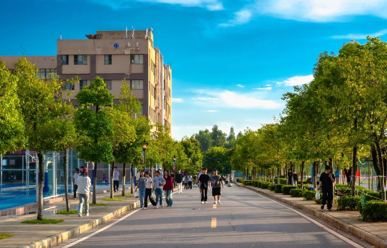 金年金字招牌诚信至上在2025年云南省职业院校技能大赛中斩获佳绩